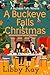 A Buckeye Falls Christmas