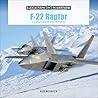 F-22 Raptor: Lock...