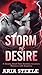 Storm of Desire: A Steamy E...