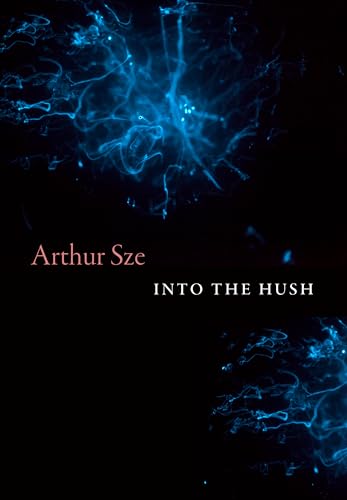 Into the Hush (Hardcover)