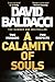 A Calamity of Souls