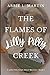 The Flames of Lilly Pilly Creek: Book 4 (The Lilly Pilly Creek Ghost Mysteries)