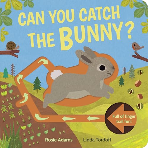 Little Tiger Can You Catch the Bunny?. (Board Book)