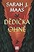 Dědička ohně by Sarah J. Maas