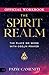 The Official Workbook for The Spirit Realm by Patsy Cameneti