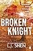 Broken Knight