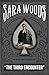 The Third Encounter: An Antony Maitland Mystery (THE ANTONY MAITLAND MYSTERIES Book 3)
