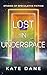 Lost in Underspace: Stories of Speculative Fiction