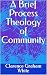 A Brief Process Theology of...