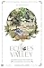 The Echoes Of A Valley - St...