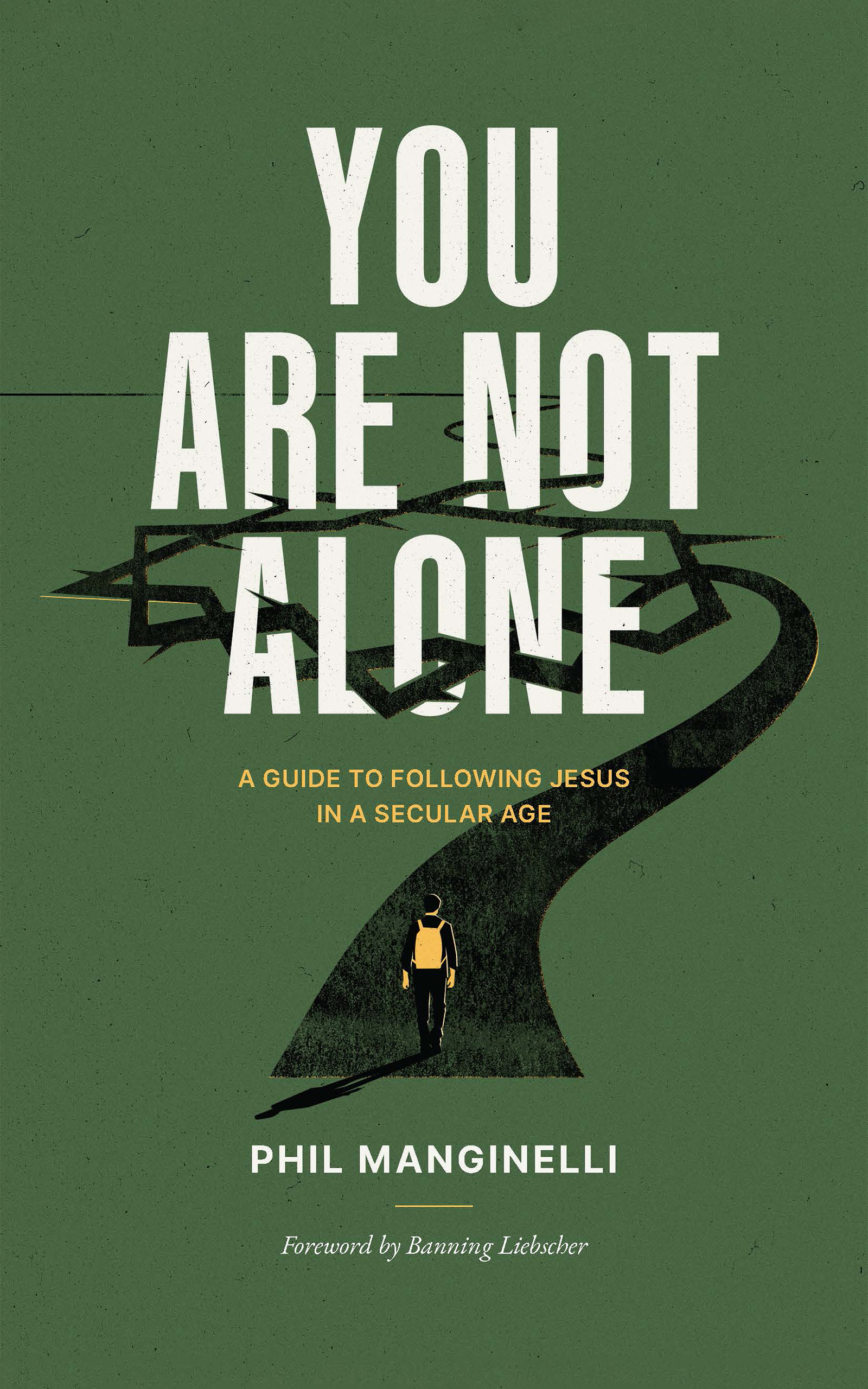 You Are Not Alone: A Guide To Following Jesus In A Secular Age