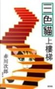 三色貓上樓梯