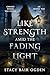 Like Strength amid the Fading Light by Stacy Bair Ogden