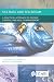Sea Bass and Sea Bream: A Practical Approach to Disease Control and Health Management