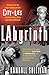 LAbyrinth: The True Story o...