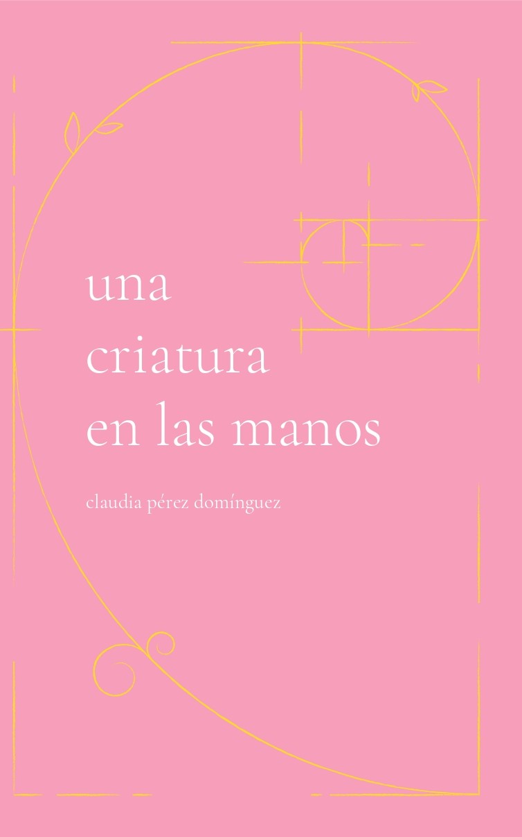 Una criatura en las manos