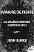 Armure de pierre: La malédiction des gargouilles - 2 (French Edition)
