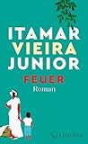 Feuer: Roman