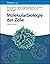 Molekularbiologie der Zelle