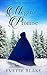 Megan's Promise by Yvette Blake