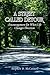 A Street Called Detour by Stephen D. McConnell