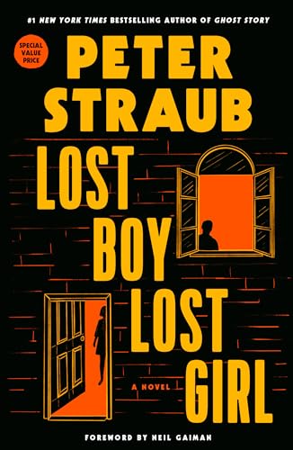 Lost Boy Lost Girl: A Novel