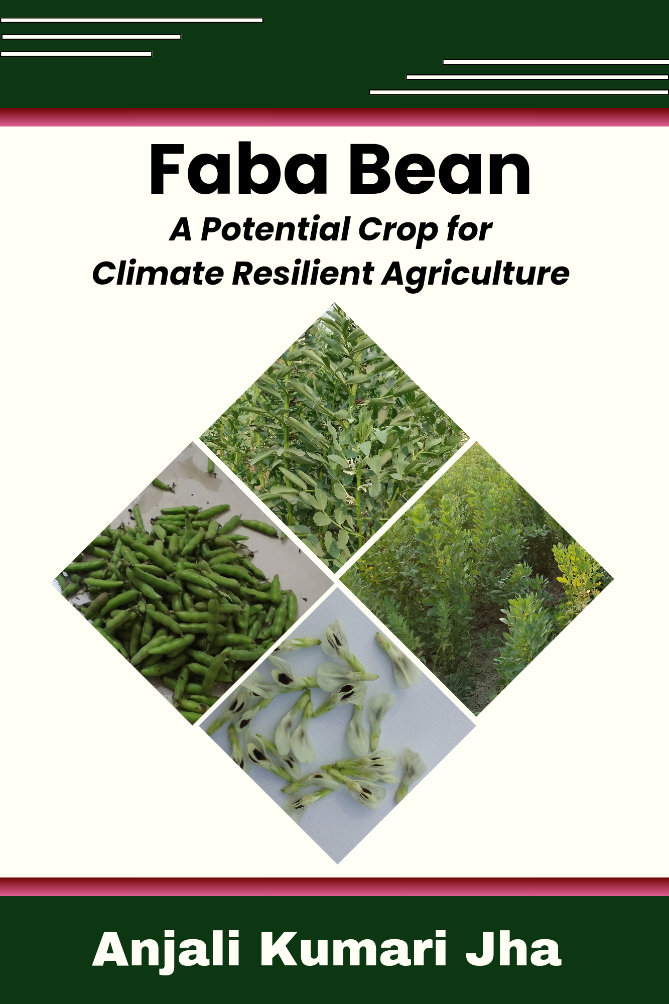 Faba Bean: A Potential Crop for Climate Resilient Agriculture