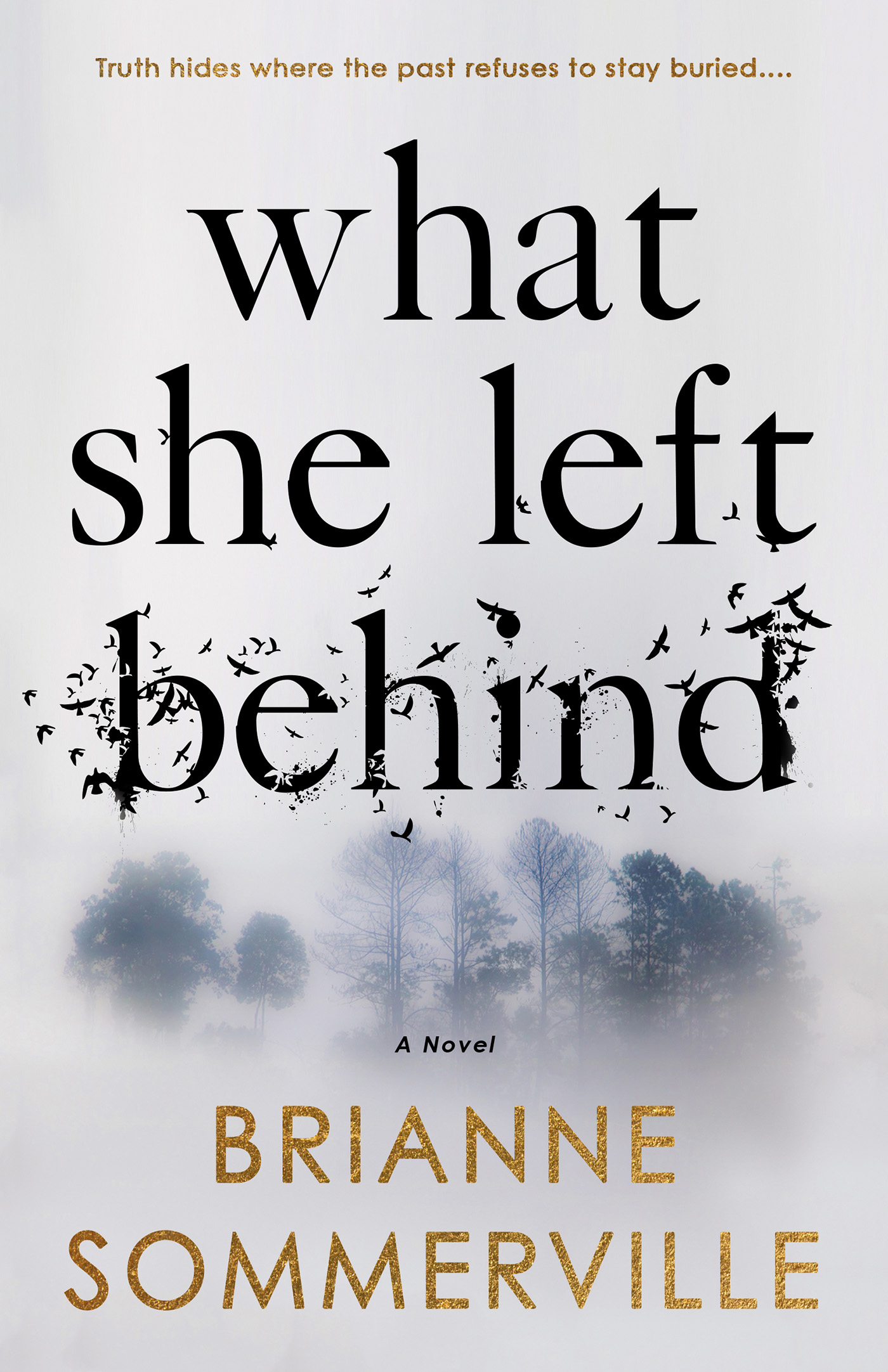 What She Left Behind (Paperback)