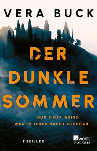Der dunkle Sommer: Nur einer weiß, was in jener Nacht geschah (Kindle Edition)
