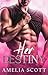 Her Destiny (Morgan Falls B...