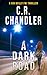 A Dark Road (A Gin Reilly F...