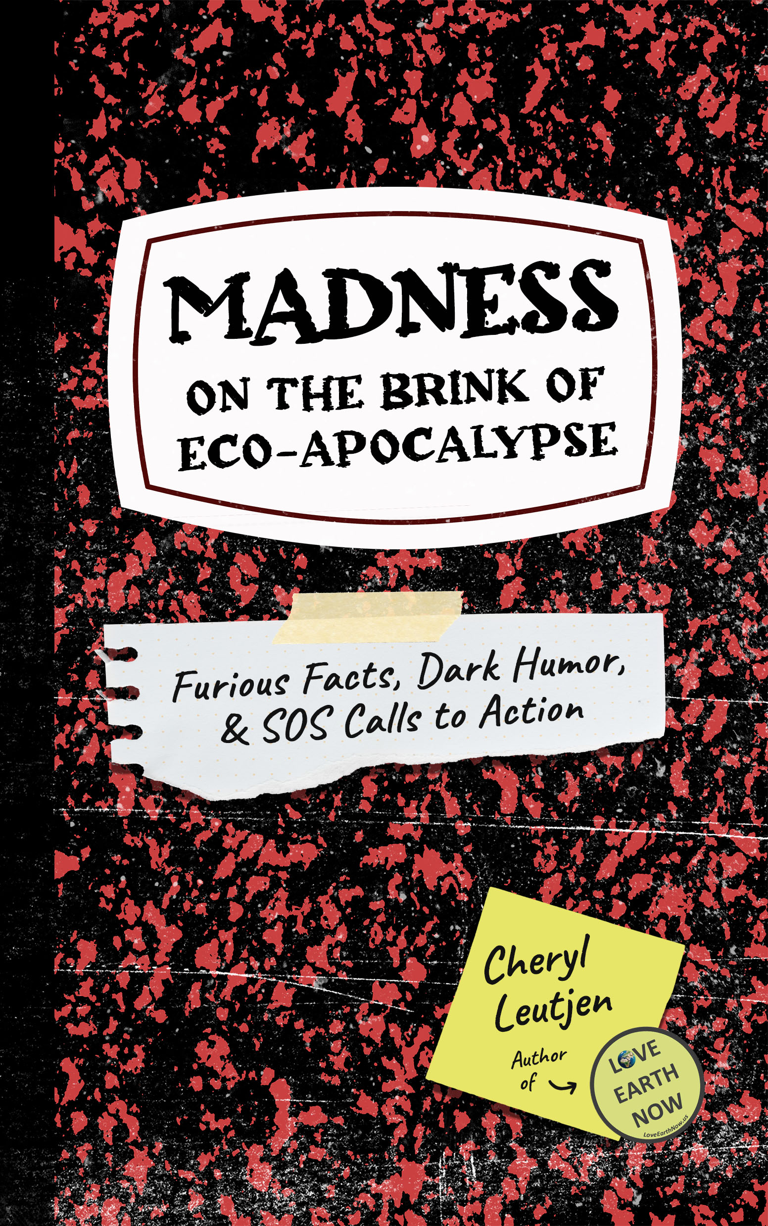Madness: On the Brink of Eco-Apocalypse (Paperback)