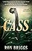 Cass: A Norse Warrior Explo...