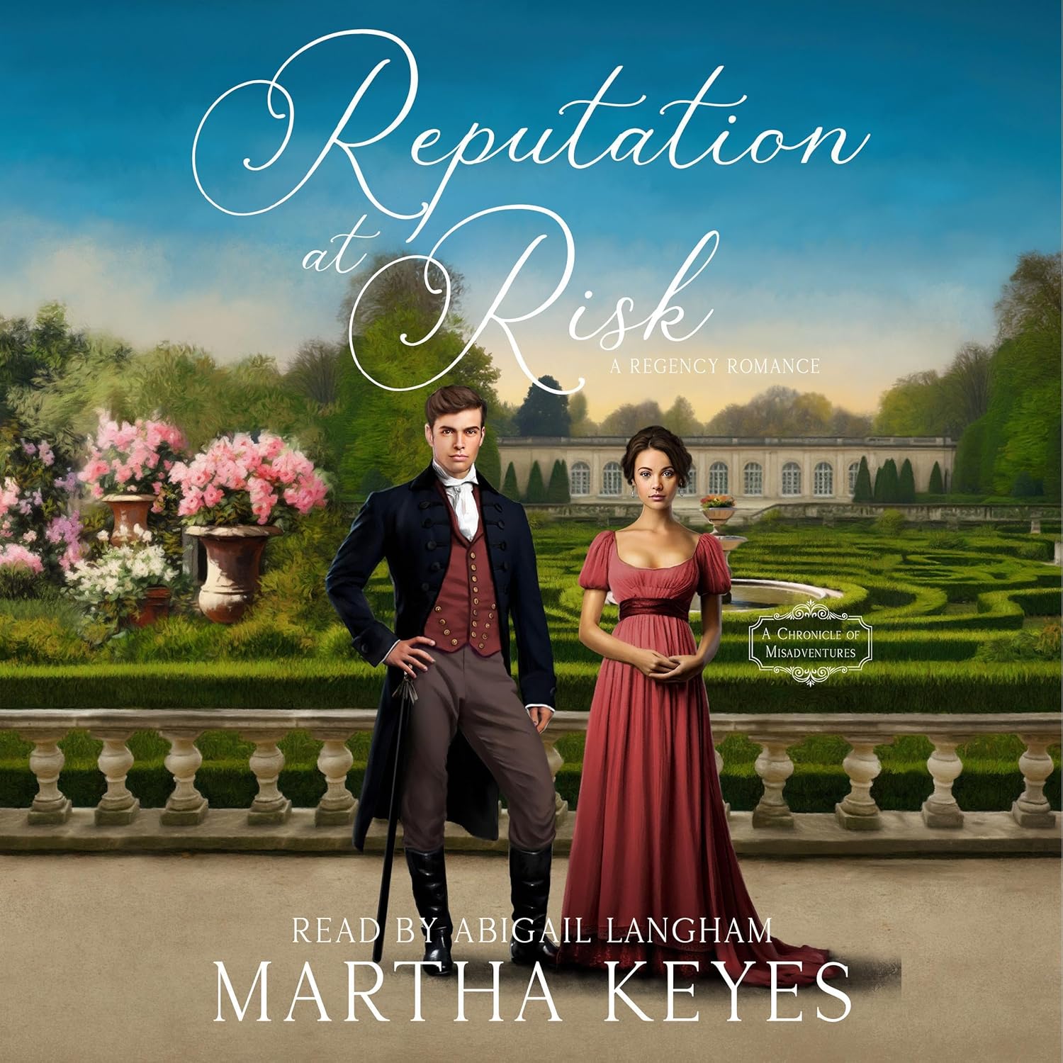 Reputation at Risk (A Chronicle of Misadventures #1)