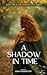 A Shadow in Time