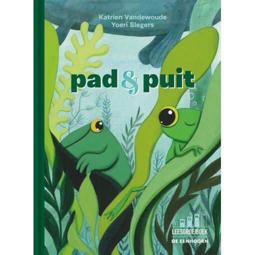 Pad en Puit (Hardcover)