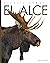 El alce (Planeta animal)