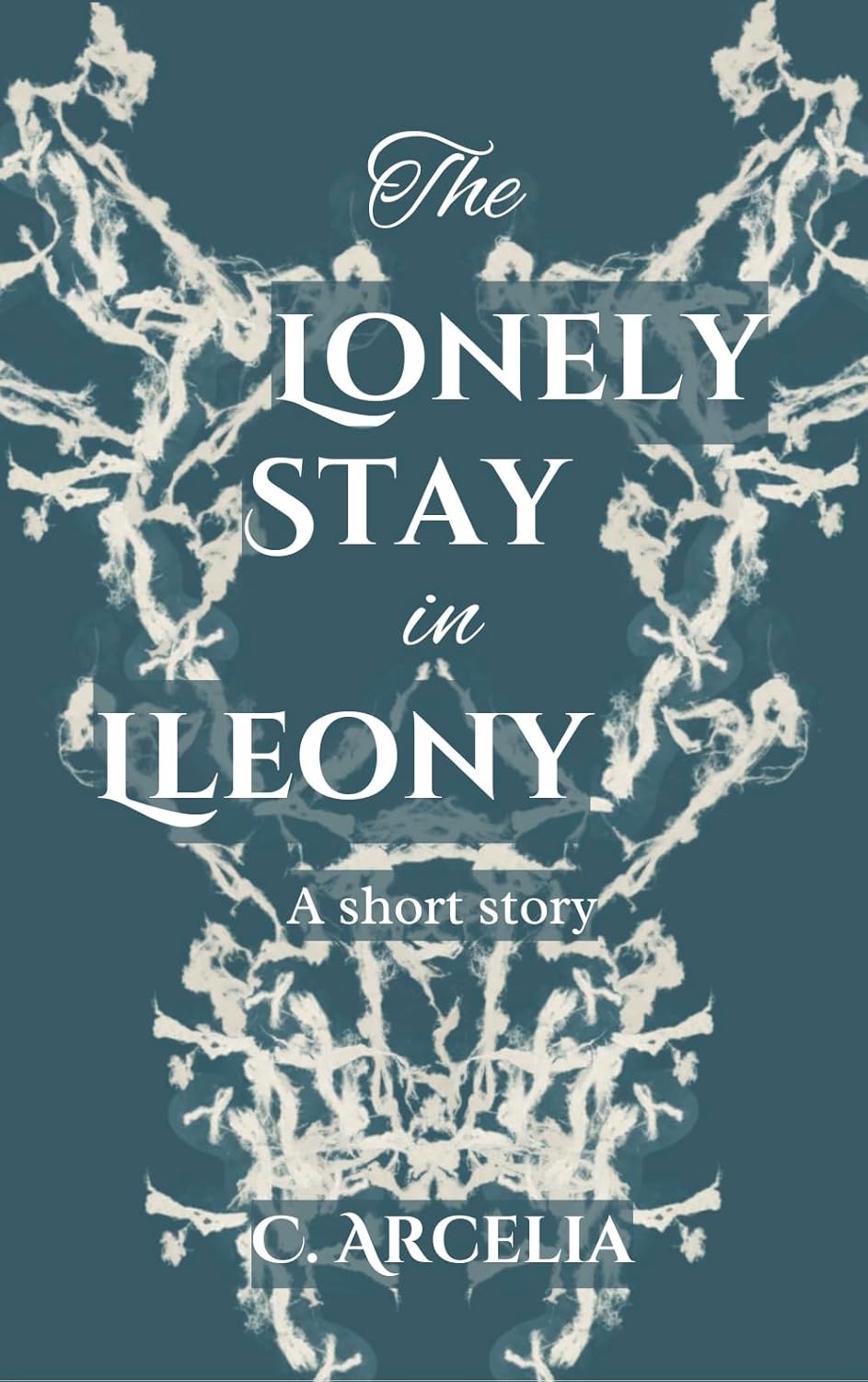 The Lonely Stay in Lleony (Kindle Edition)