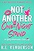 Not Another One-Night Stand (Not Another Romance, #3)