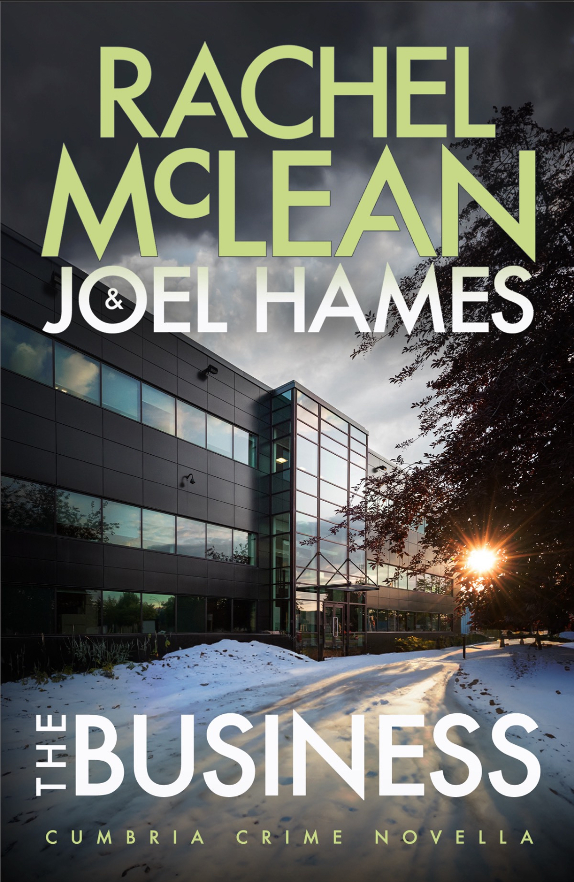 The Business (Cumbria Crime #2.5)