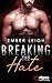 Breaking the Hate (Breaking #0.5)