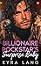 Billionaire Rockstar's Surp...