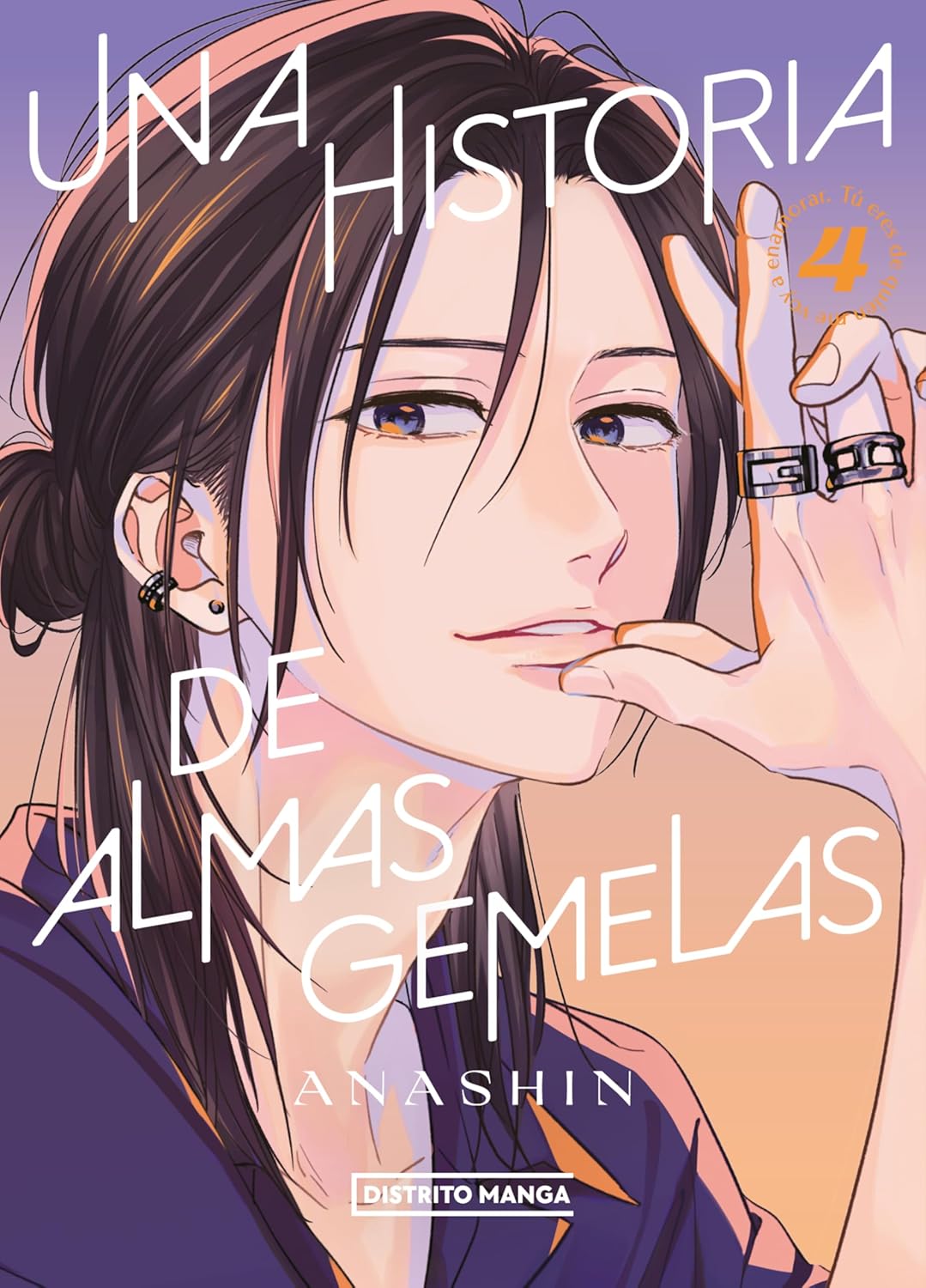 Una historia de almas gemelas, vol. 4
