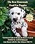 The Best Homemade Food for Puppies by Anne Benson