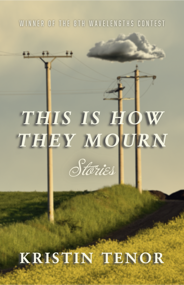 This Is How They Mourn (Paperback)
