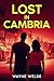 Lost in Cambria by Wayne Welde