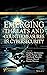 Emerging Threats and Countermeasures in Cybersecurity by Gulshan Shrivastava