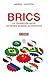 BRICS: La transición hacia un orden mundial alternativo