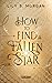 How To Find A Fallen Star (New York Magics, #2)