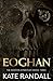 Eoghan: The Boston Syndicate, Book Three